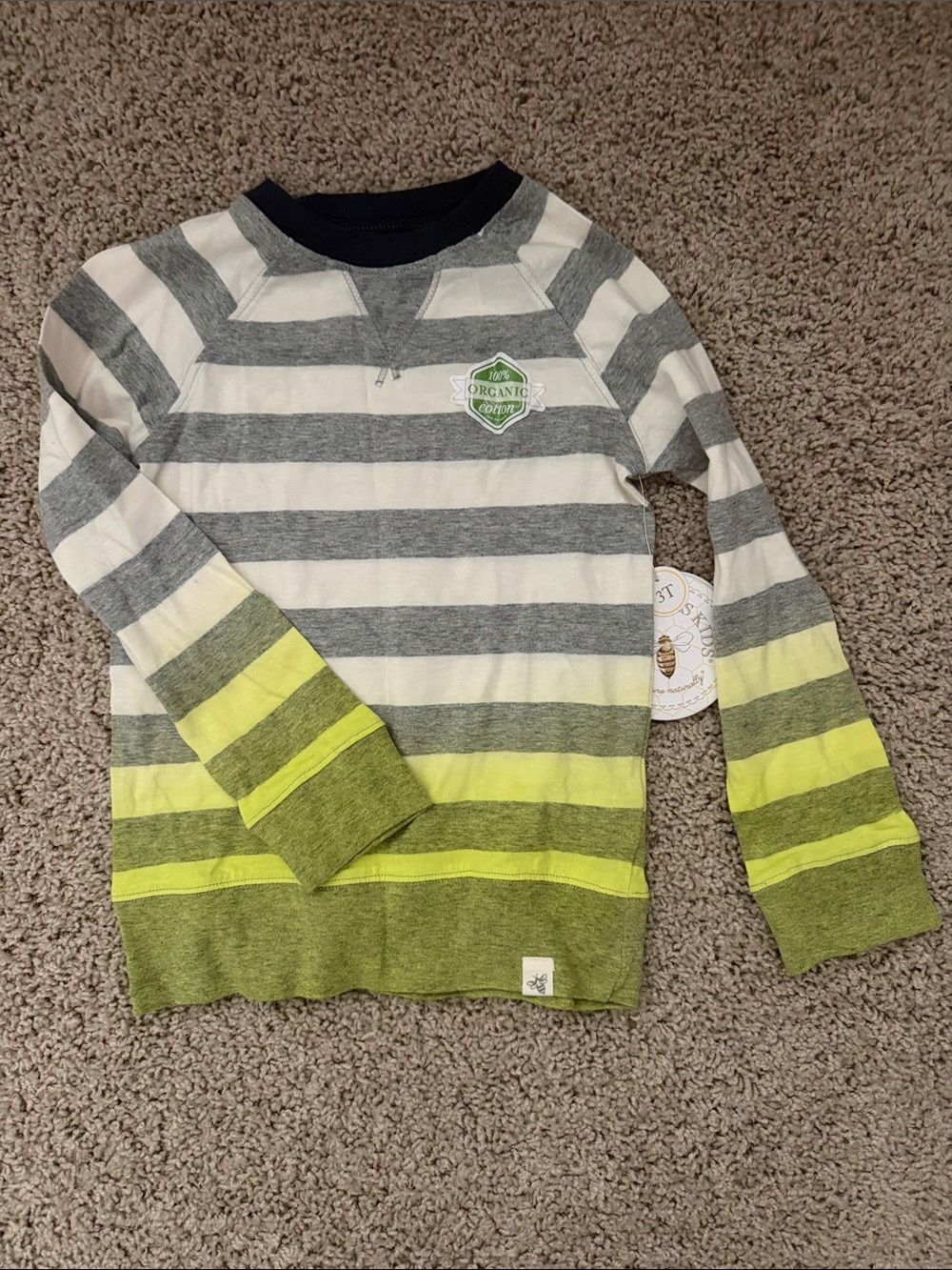 Burt’s Bees Organic Cotton Striped Long-Sleeve Tee - Gray & Lime